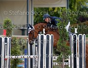 BOLIOLI Tahiti Island GioCav2013 S5 2751 : BOLIOLI MAURO, Campionati Italiani Giovani Cavalli, Cattolica, Tahiti Island, ph Stefano Secchi ©